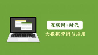 互聯(lián)網(wǎng)時代下的大數(shù)據(jù)營銷與應用 驅動銷售新變革