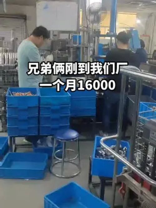 手足同心筑夢(mèng)廠(chǎng)區(qū)，兄弟合力點(diǎn)亮人生